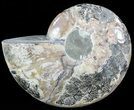 Wide Polished Ammonite Dish - Inlaid Ammonite Center #49786-1